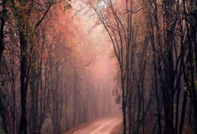 AIGC看体育｜精彩回顾：第十二届全国少数民族传统体育运动会开幕新华社.