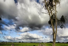 鲍威尔＆伦纳德＆哈登砍20+，祖巴茨18+20两双，快船力克魔术.