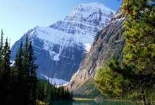 校园沸腾了!南京小学生零距离接触体育明星巩立姣、谢震业.