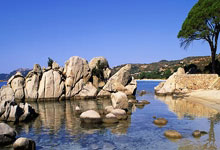 CBA冠军最多的5位外援：马布里3冠传奇，一人5连冠堪称伟大.